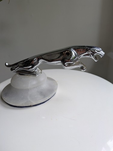 Vintage jaguar leaper hood - jaguar,