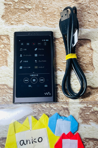 Sony a55 grayish - nw-a55, black