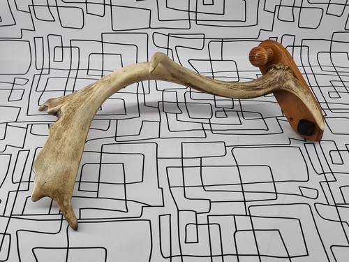 Point stag deer antler wall - 4,