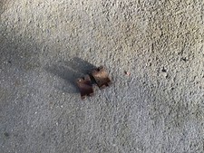 Austin Seven Camshaft Bushes 3 Bearing Engine