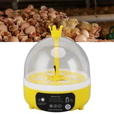 Mini 4 Eggs Incubator For Home