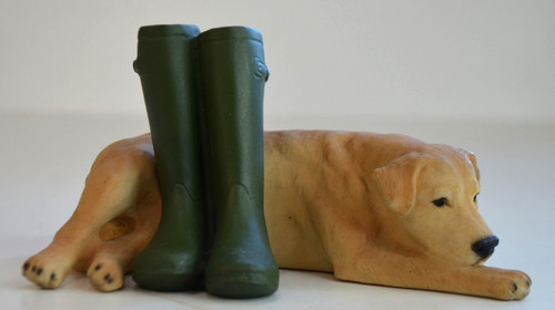 Yellow labrador with green - yellow,