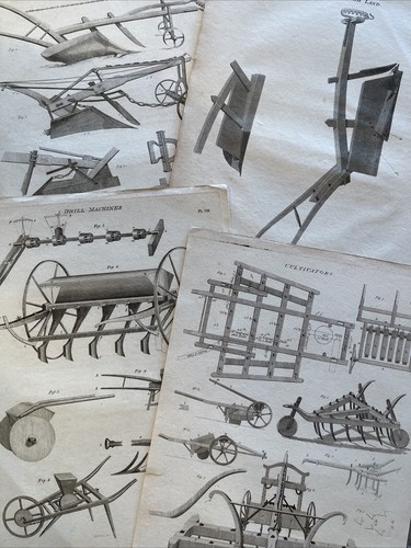 Antique 19th century prints - antique,