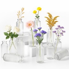 Mini Ribbed Glass Bud Vases
