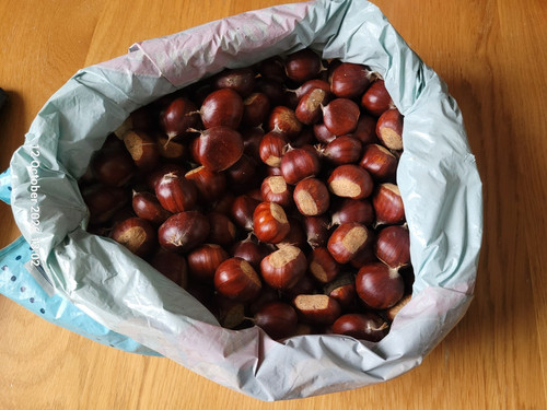Fresh sweet chestnuts - 1, uk