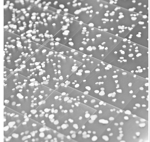 Hunkydory snowfall acetate - a4,