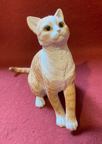 Country artists ginger tabby - ginger,