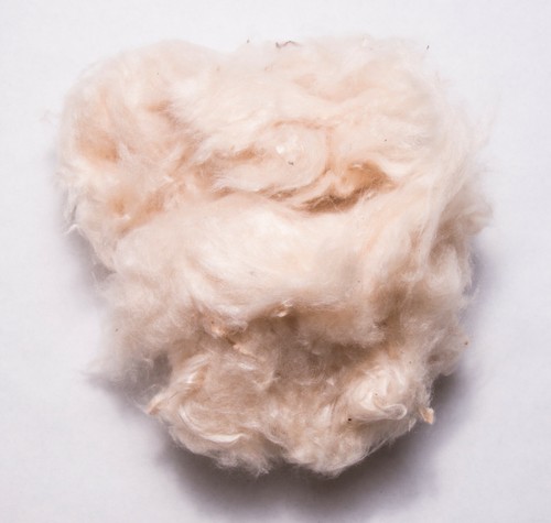 Natural kapok fibre stuffing - kapok,