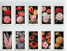 Carreras: Flowers 1936 Full Set 50 Cigarette Cards