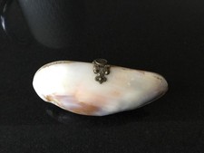 Vintage Evening Antique Mussel Shell Purse With Brass Hinge & Clasp.