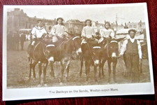 WESTON SUPER MARE Donkeys on