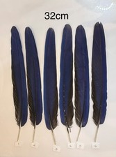 Parrot Macaw Feather Crafts
