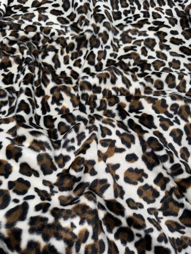 Mtr animal snow - snow, leopard