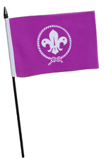Scout Small Hand Flag (6" x