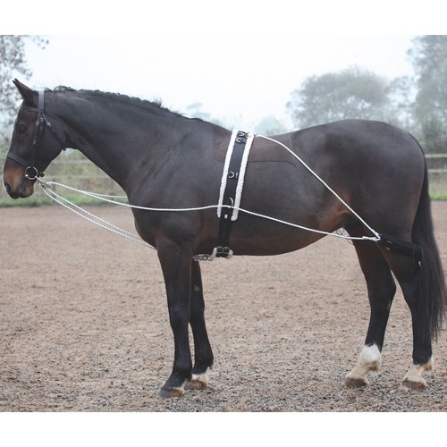 Shires lunging aid - shires,