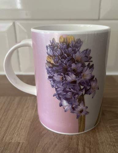 Hudson and middleton mug les - and,