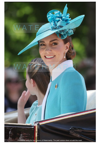 Catherine princess wales - catherine,