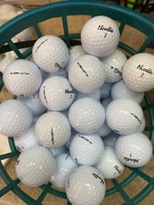 100*   MAXFLI NOODLE  LONG AND