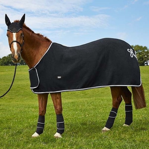 Dartmoor fleece showing - dartmoor, rugs