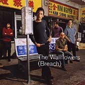 Wallflowers breach special - wallflowers, :