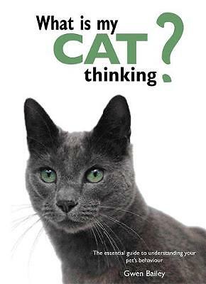 What cat thinking - is,