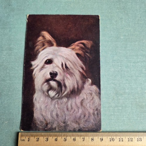 Vintage postcard characterful - postcard,
