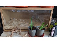 Small Vivarium Top Opening 24 x 15 x 12 Glass Top Reptile Enclosure