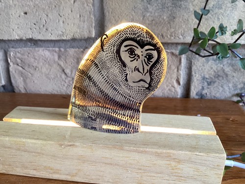 Abraham palatnik monkey - abraham,