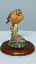 Border fine arts Baby robin on