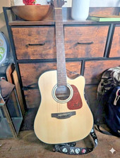 Takamine G Series GD10CE