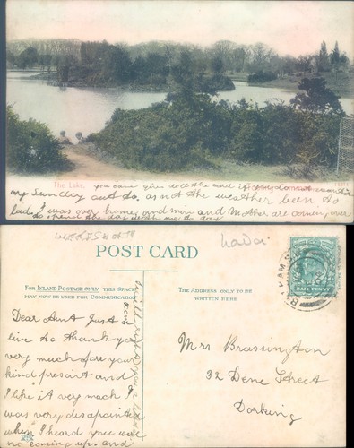 The lake dorking surrey - lake,