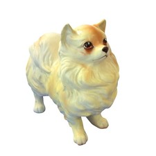 Vintage Pomeranian Dog