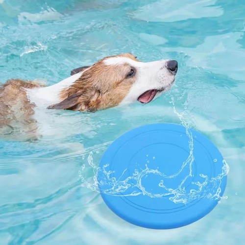 Flying ring disc pet - pet, kids