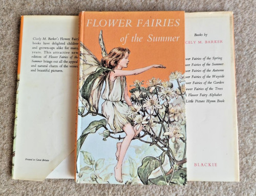 Flower fairies the summer - flower,