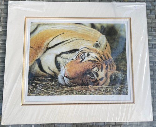 Signed limited edition - limited, john
