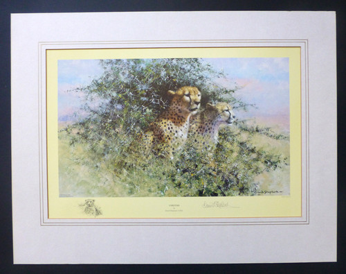 David shepherd cheetah - shepherd,