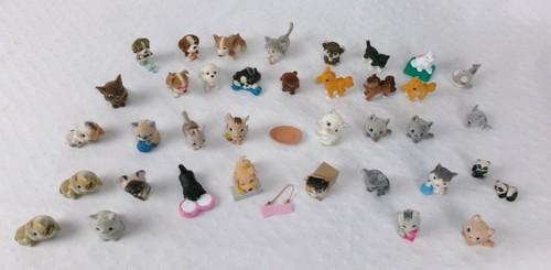 Lot puppy kitty - 37, /