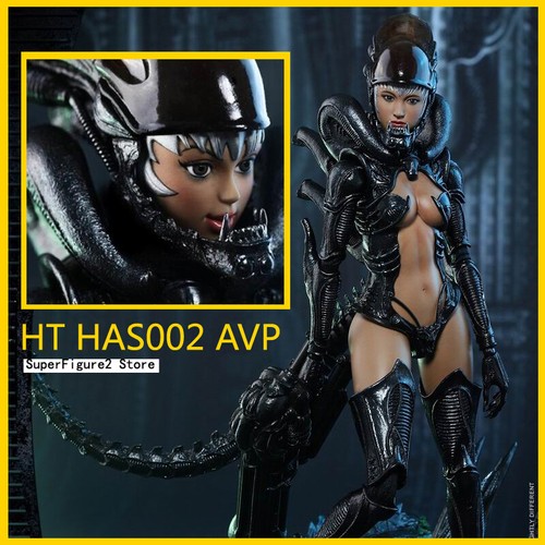 Ready hot toys has002 - ready!,