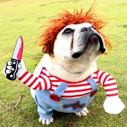 Funny pet puppy clothes - funny,