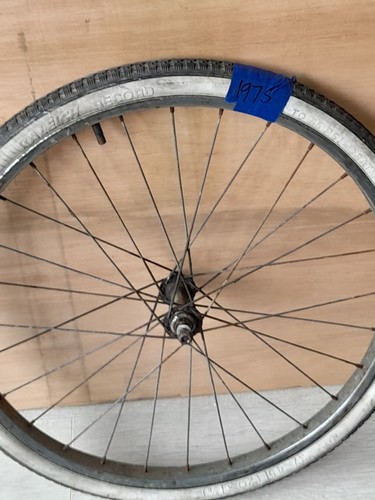 Raleigh shopper stowaway - 20",