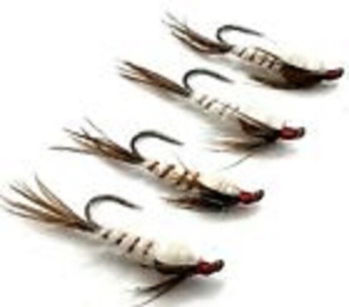 Trout fly fishing - trout,