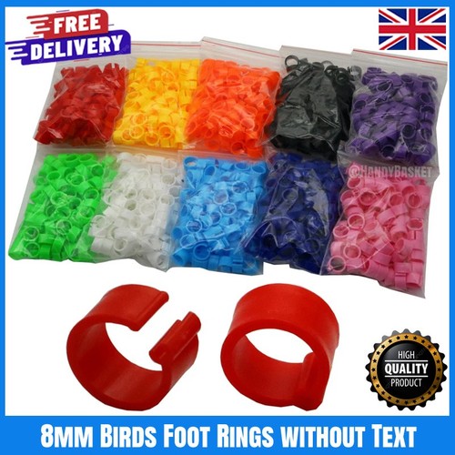 100pcs 8mm bird - leg, id
