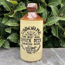 Usborne ginger beer - ginger,
