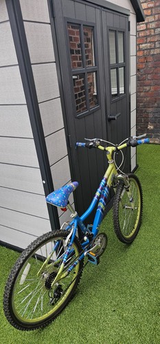 Raleigh chic bike - raleigh,