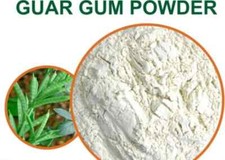 Guar Gum Fine Powder Food Grade Gluten Free Premium Quality Free P&P