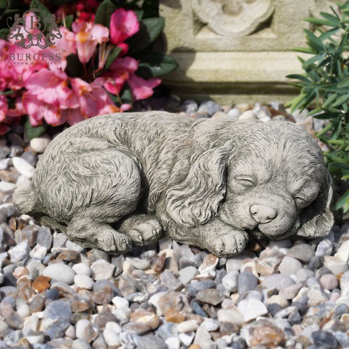 Spaniel puppy dog statue - dog,