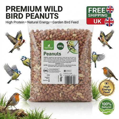 Premium peanuts wild bird - wild, food