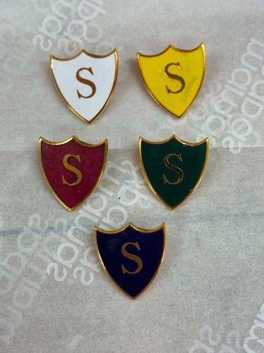 Shield school pin badge - school,