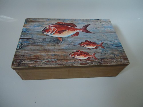 Red snapper fish - red, box