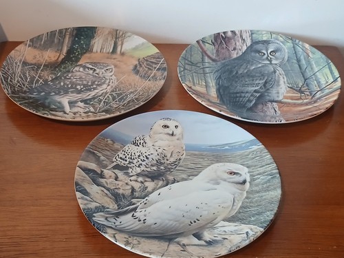 The majesty owls set - owls, of